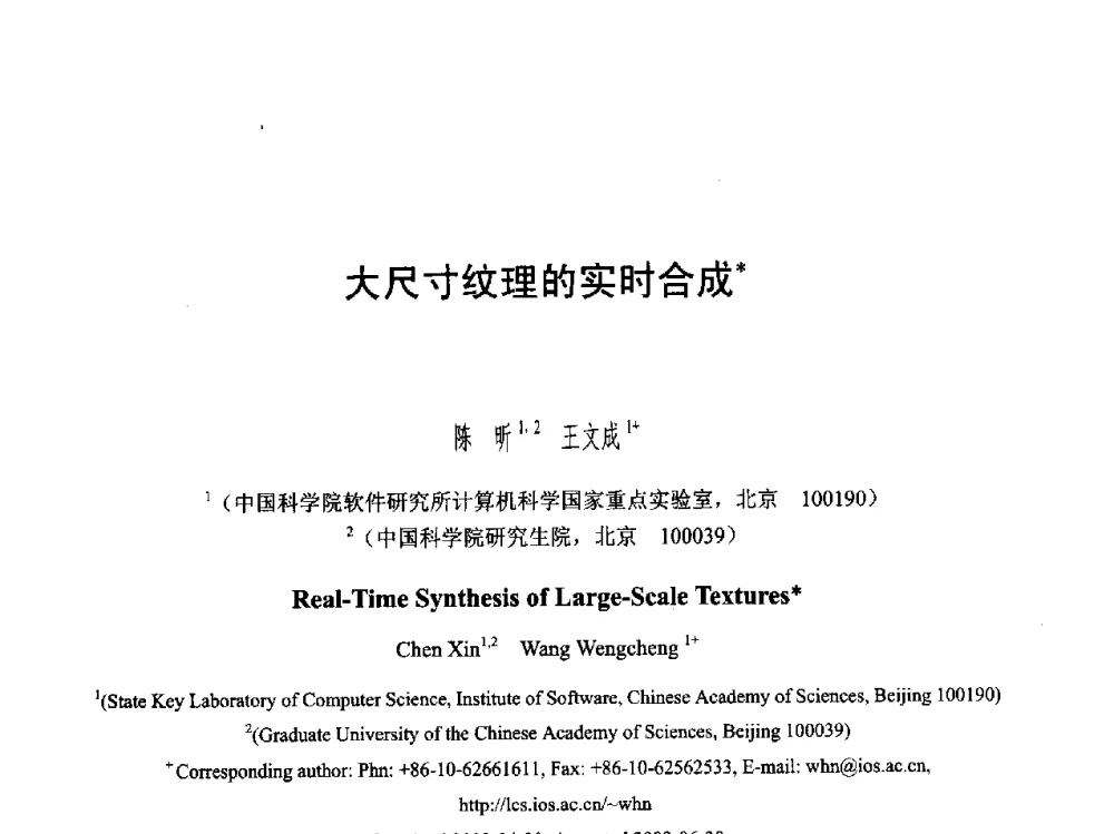 大尺寸纹理的实时合成 - 第六届智能CAD与数字娱乐学术会议