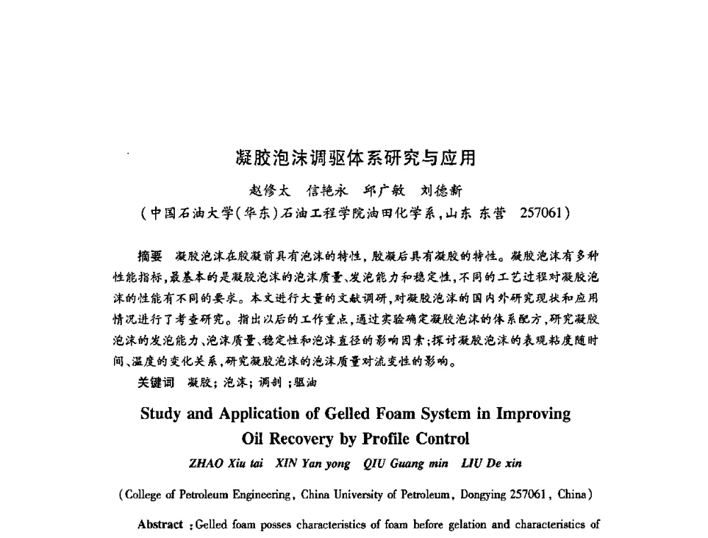 凝胶泡沫调驱体系研究与应用 - 2009中国油田化学品发展研讨会(第23次全国工业表面活性剂发展研讨会)