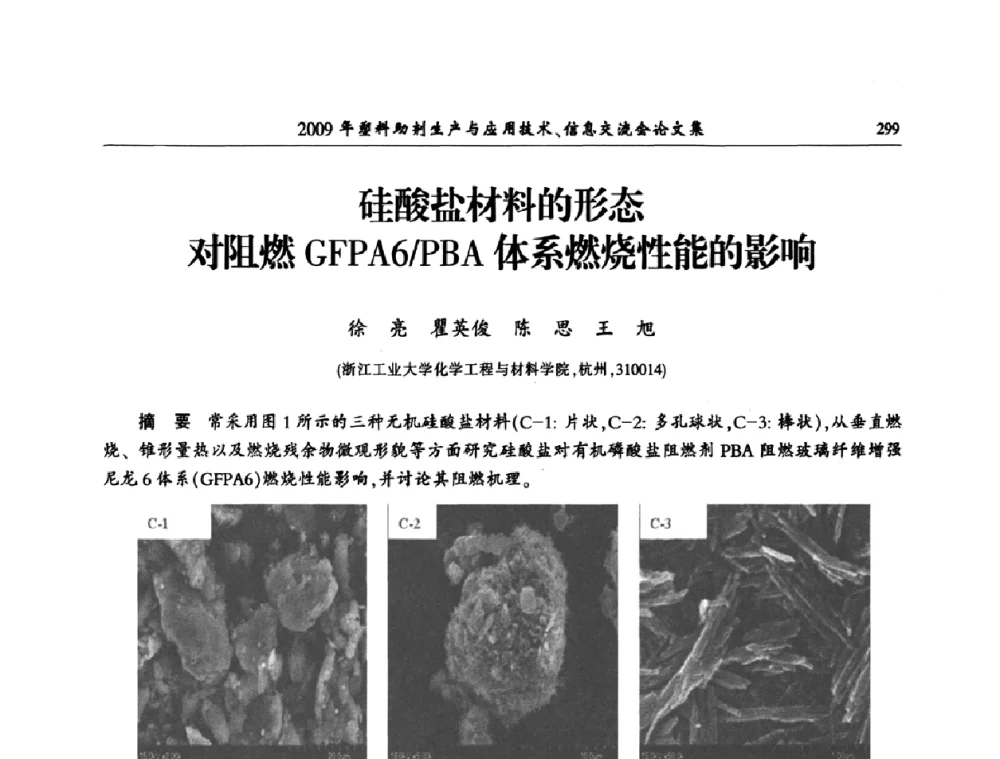 硅酸盐材料的形态对阻燃GFPA6_PBA体系燃烧性能的影响 - 中国塑料加工工业协会2009年塑料助剂生产与应用技术信息交流会