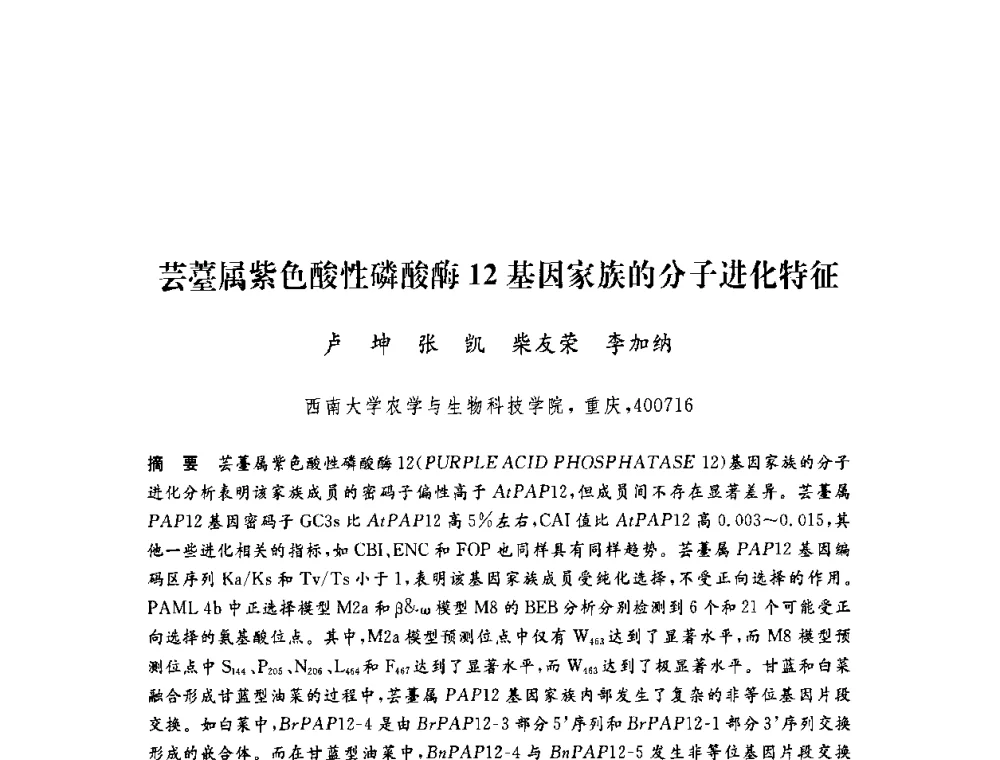 芸薹属紫色酸性磷酸酶12基因家族的分子进化特征 - 第六届博士生学术年会