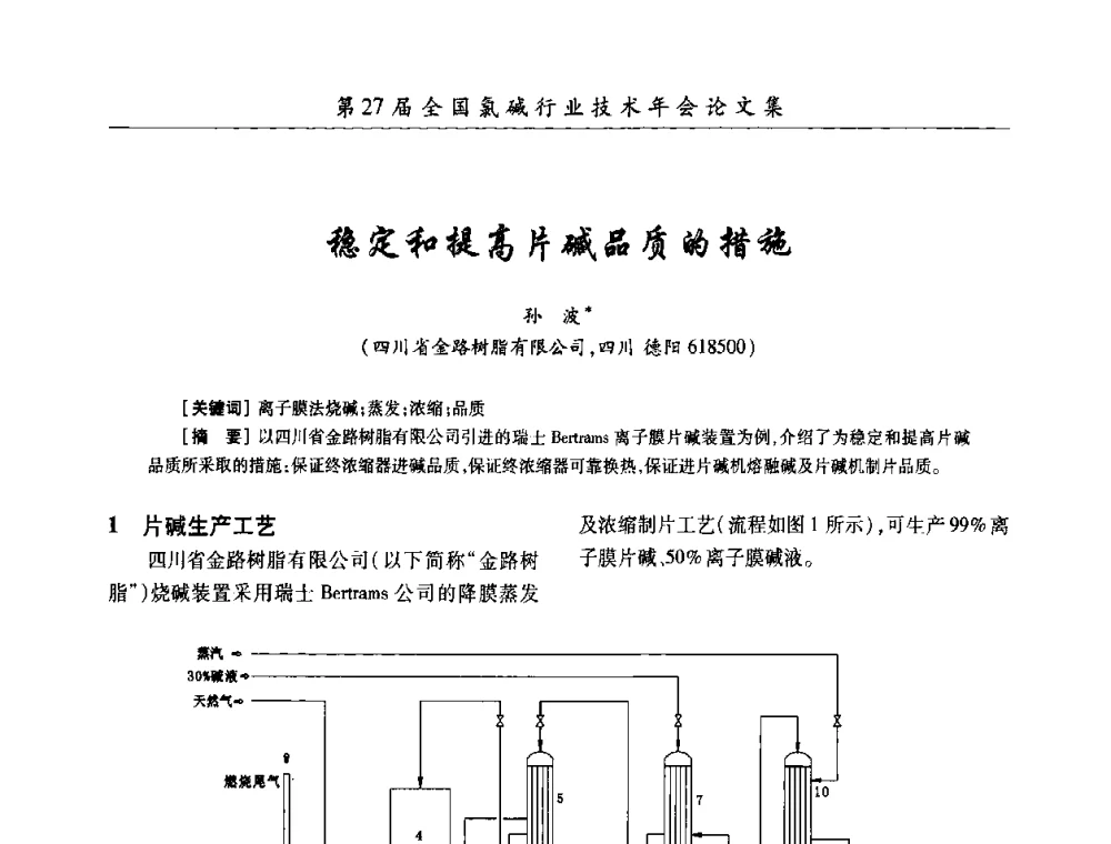 稳定和提高片碱品质的措施 - 第27届全国氯碱行业技术年会暨第10届“佑利杯”论文交流会