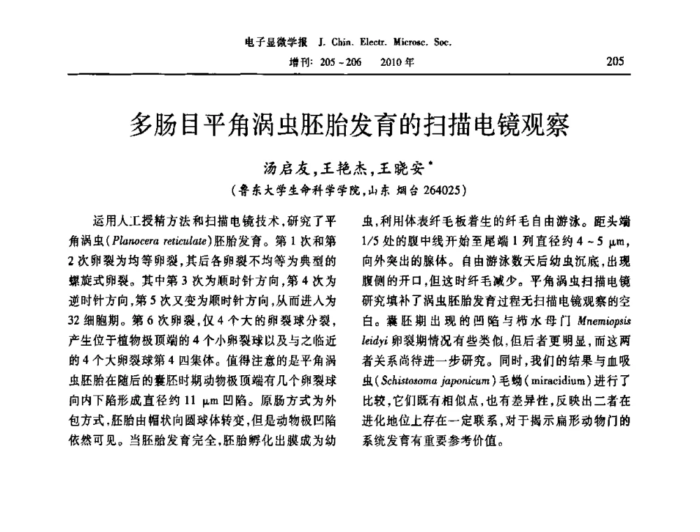 多肠目平角涡虫胚胎发育的扫描电镜观察 - 2010年全国电子显微学会议暨第八届海峡两岸电子显微学研讨会