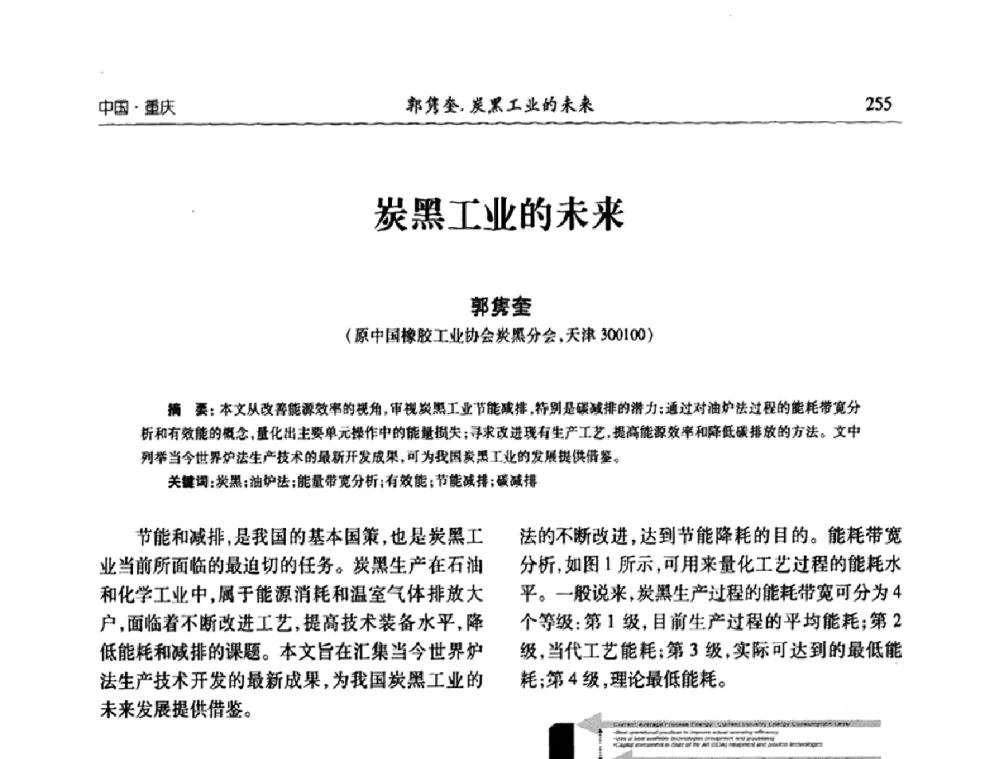 炭黑工业的未来 - 2010年中国炭黑展望会