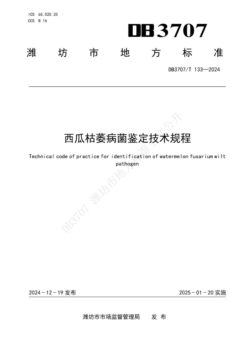 DB3707_T 133-2024 西瓜枯萎病菌鉴定技术规程.jpg